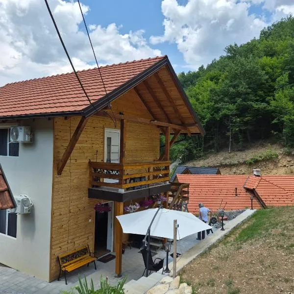 Visočka Banja Apartmani, hotel ad Arilje