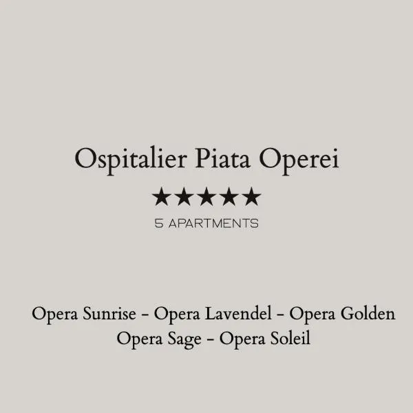 Ospitalier Piata Operei - 5 spacious apartments in City Center, hotel in Timişoara