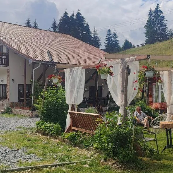Pensiunea Trei Brazi Arieseni, hotel a Arieşeni