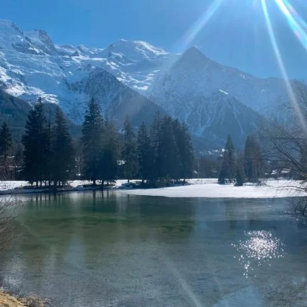 Studio Cosy 2personnes, hotel en Chamonix-Mont-Blanc
