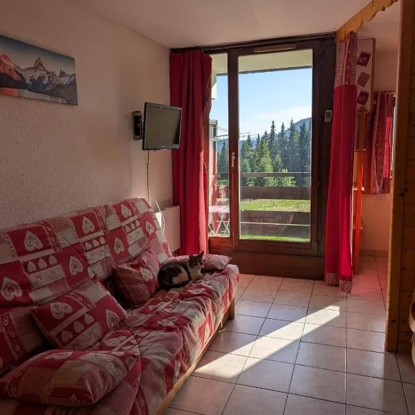 Appartement montagne au col de merdassier, Manigod, hotel in Manigod