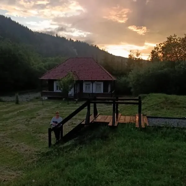 La Malu' Bistritei - casutele Valea Stanii, hotel en Valea Stînei