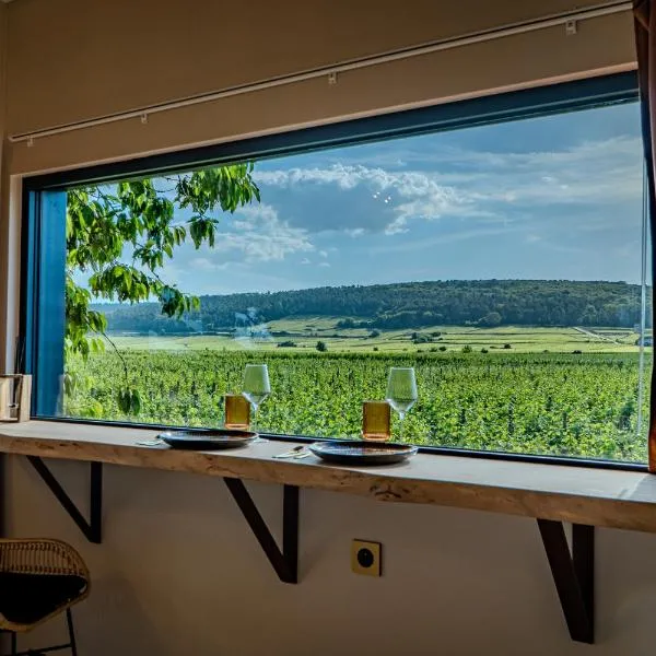 Lodge des Grands Crus - dormez au cœur du vignoble, отель в городе Жевре-Шамбертен