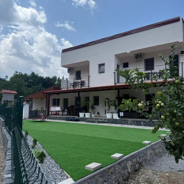 The Brothers Villa、オフリドのホテル