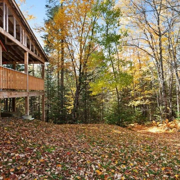 Rustic cabin near boating, fishing or hiking to the lake - dog-friendly, hotel u gradu 'Greenville'