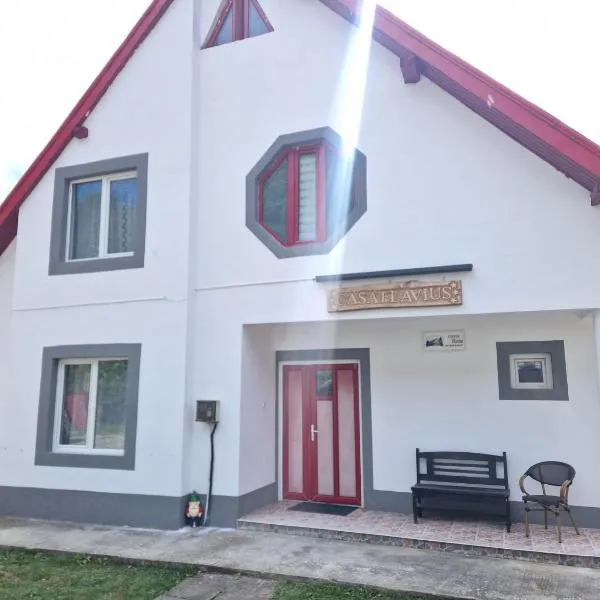 Casa Flavius, hotel em Văliug
