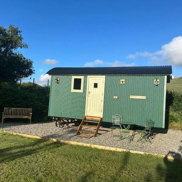 Hut in the hills near Dolgellau,多爾蓋萊的飯店