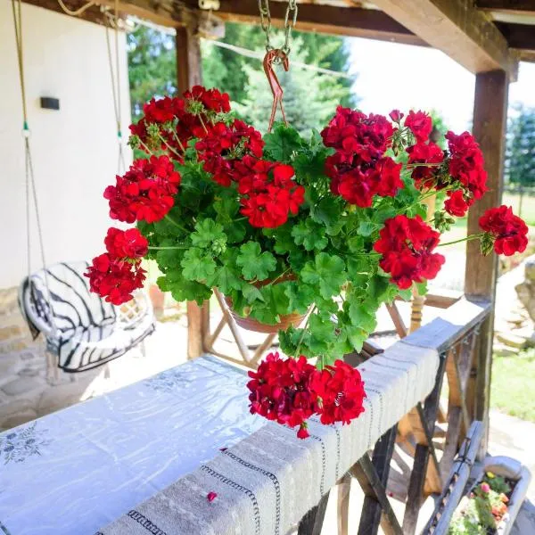 Doru' Bucovinei, hotel in Moldoviţa