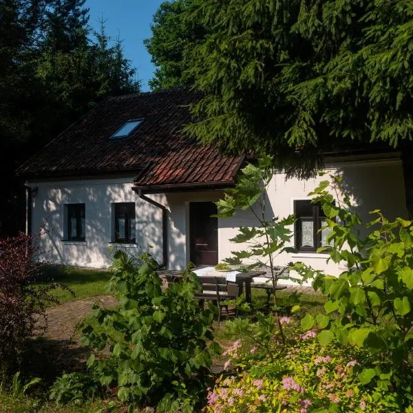 Siedlisko Dzika Kaczka โรงแรมในPłociczno