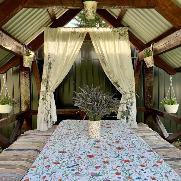У Лариси, hotell i Solochin