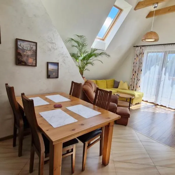 To Tu, hotel in Czarna Góra