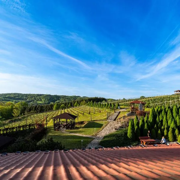 Hotel Winnica Maria Anna, hotel en Czudec