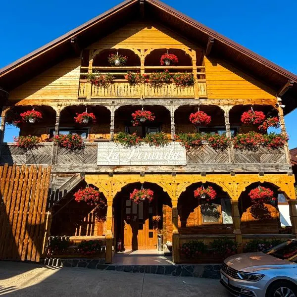 Pensiunea La Domnița, hotel v mestu Poienile Izei
