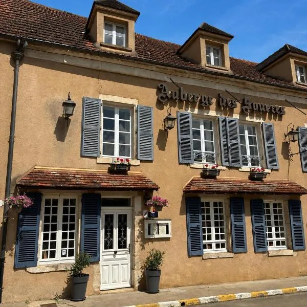 Auberge des Sources, Hotel in Druyes-les-Belles-Fontaines