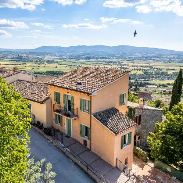 Agriturismo Terra d'Olivo, hotell sihtkohas Trevi