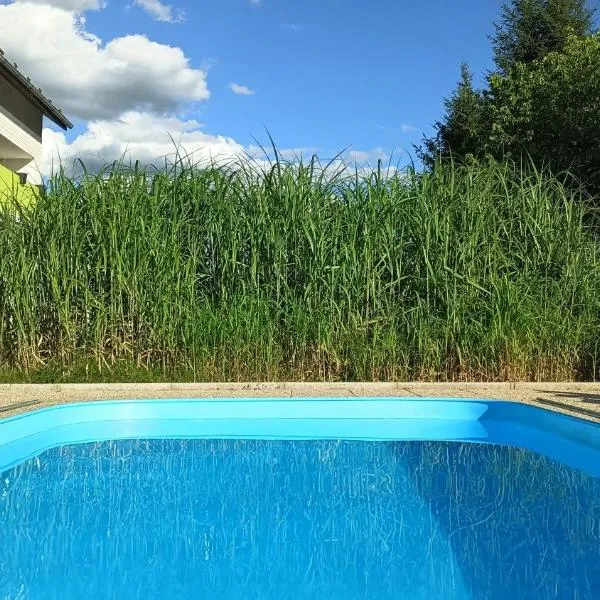 Penzion Zelená zahrada, Hotel in Kladenské Rovné