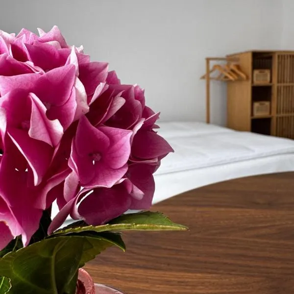 Domek pod Jabłonią, hotell i Barzowice
