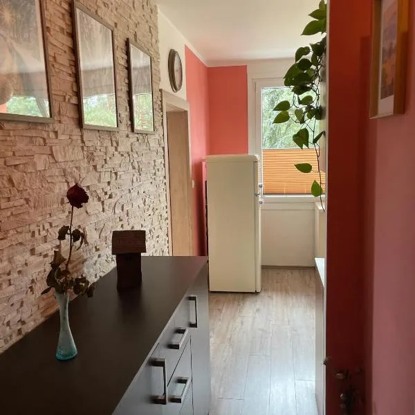 Útulný, plně vybavený byt v Plané nad Lužnicí, hotel v Tábore