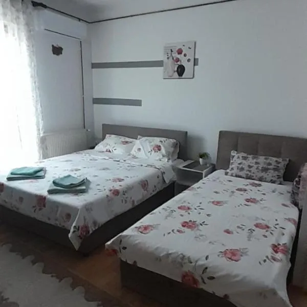 Apartman Dragan, Hotel in Vranje