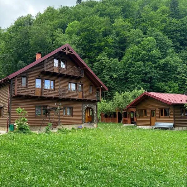 TaVa House 2, hotel in Yaremche