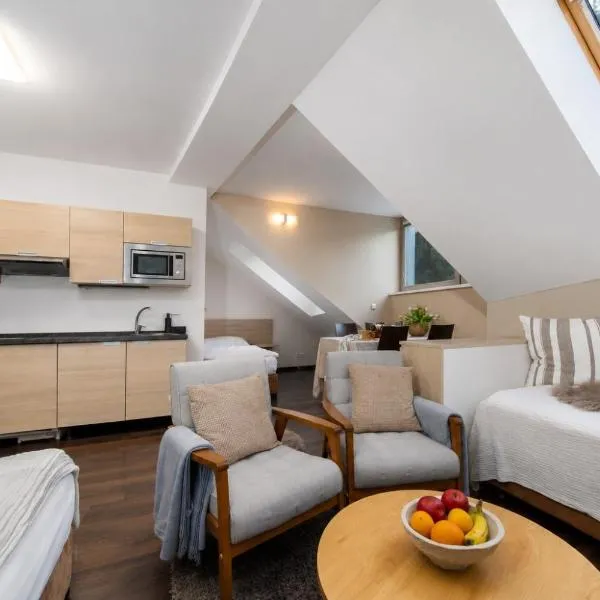 Anenský Apartmán C303 s wellness , O2 TV a stabilní rychlou WIFI, s možností dokoupení bufetových snídaní a s možností dokoupení masáží, khách sạn ở Harrachov