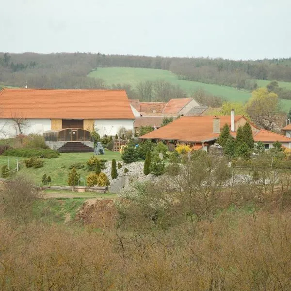 Čarodějnický Dvůr, hótel í Biskoupky