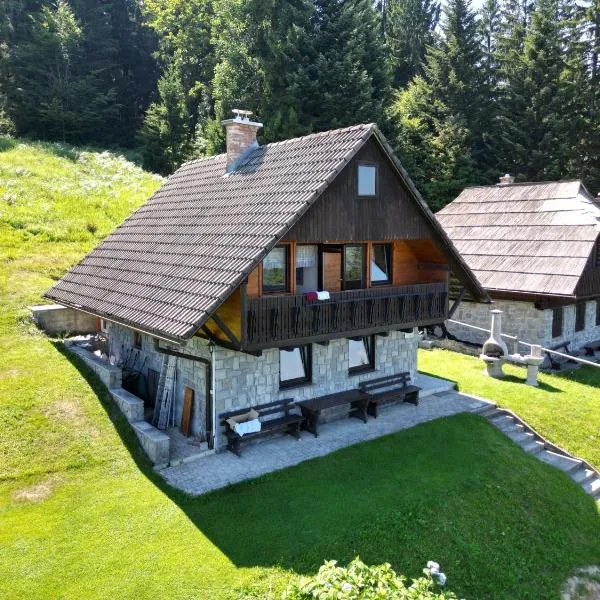 Private Forest Cabin with Epic View, hotel di Ribnica na Pohorju