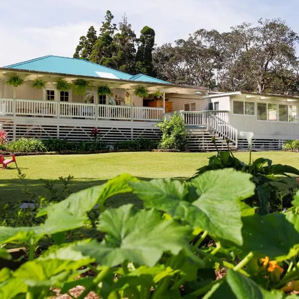 Aloha Junction Guest House - 5 min from Hawaii Volcanoes National Park, hotelli kohteessa Volcano