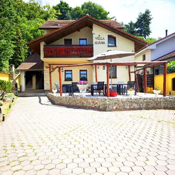 Villa Slnava, hotel di Banka