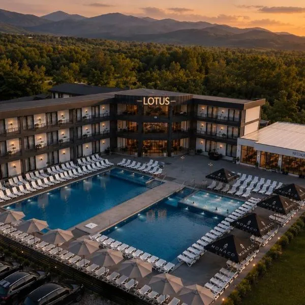 LOTUS Hotel Solotvino: Solotvyno şehrinde bir otel