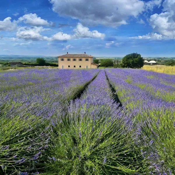 Terre di Vulci Fiora – hotel w mieście Canino