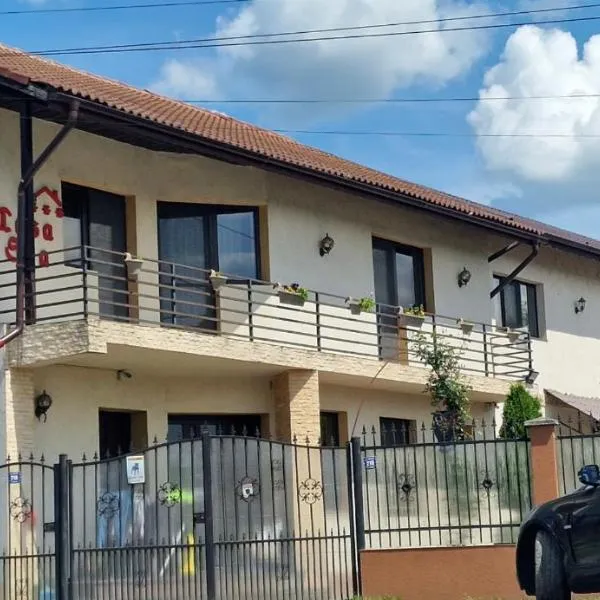Vila Sia, hotel en Râmnicu Vâlcea