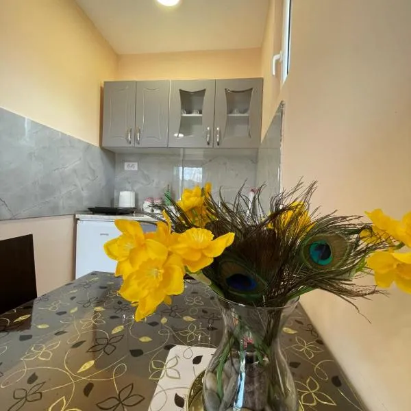 Apartman Petko, хотел в Križevac