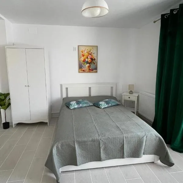 Studio Rodica, Hotel in Zalău