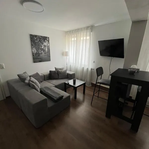 Ferienwohnung zum Kriegerdenkmal, hotel v destinácii Alzey