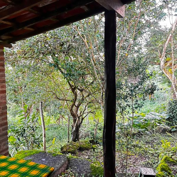 Sitio Viração - Foto 4