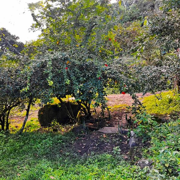 Sitio Viração - Foto 5