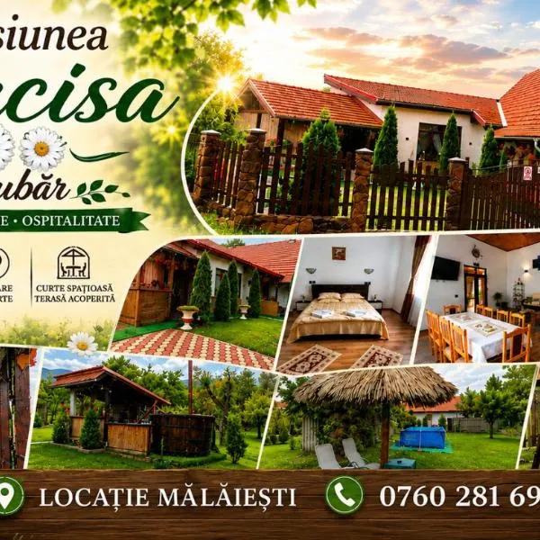 Pensiunea Narcisa cu Ciubar, hotel Malajesden