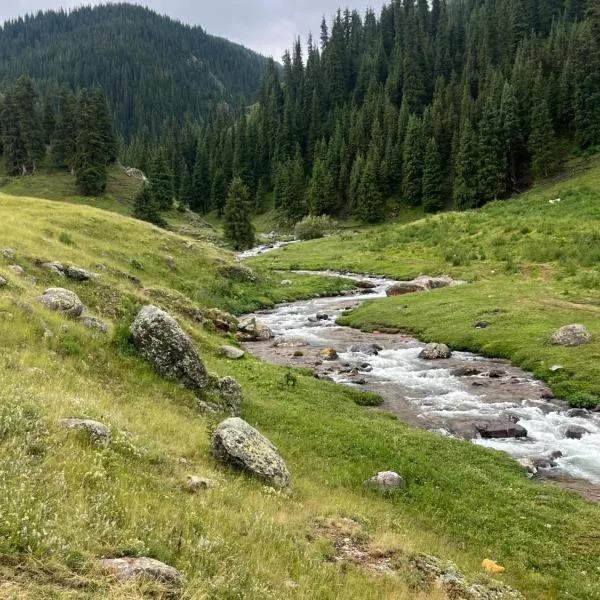 Mountain View, viešbutis mieste Türgen