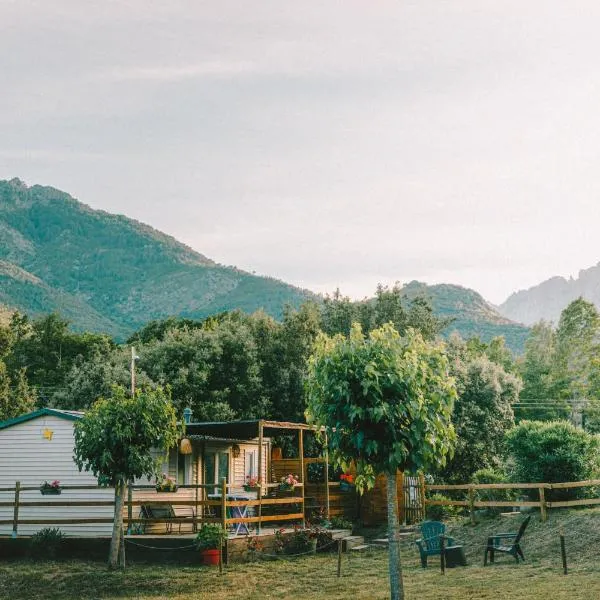 Camping Mercone, hotel in Corte