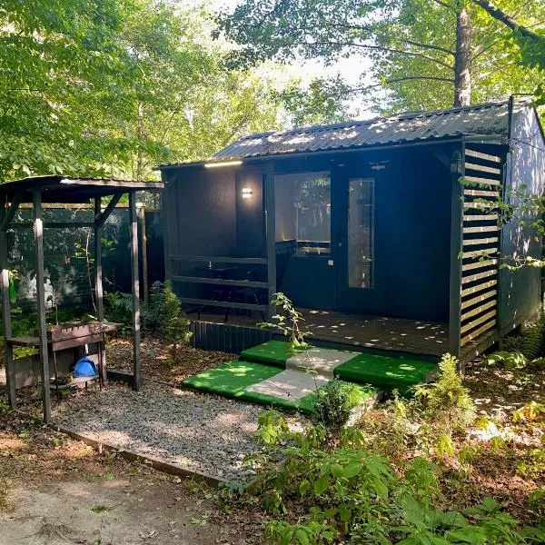 Scandinavia Camping, готель у місті Kamennaya Gora
