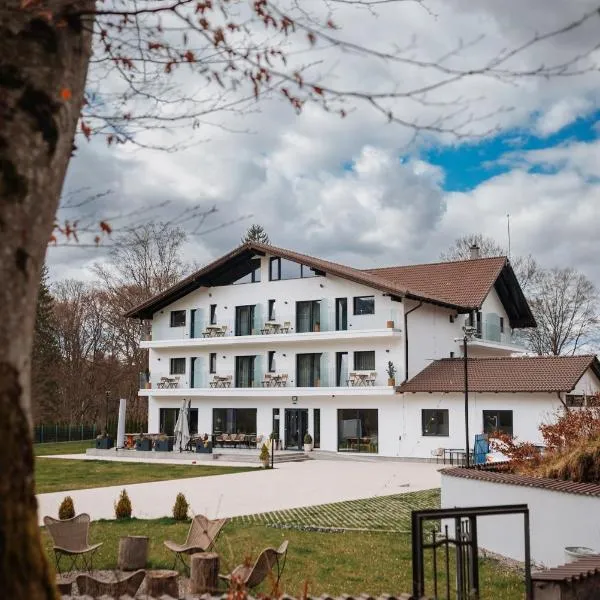 Pensiunea Amonte, hotelli kohteessa Avrig