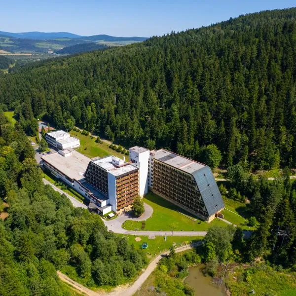Hotel SOREA ĽUBOVŇA, hotel in Stará Ľubovňa