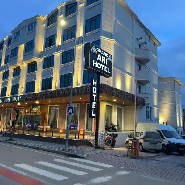 Afyon Grand Arı Hotel, hotell sihtkohas Afyon