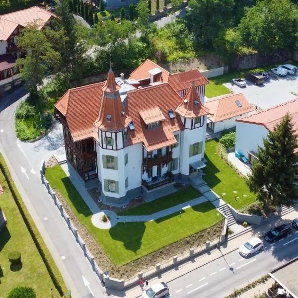 Turul Villa, хотел в Совата