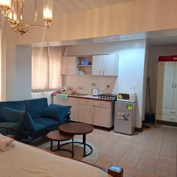 Executive Express Rooftop Pool suites- Ngara, Hotel in Nairobi