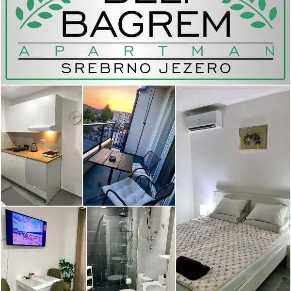 Apartman Beli Bagrem, hotel u Velikom Gradištu