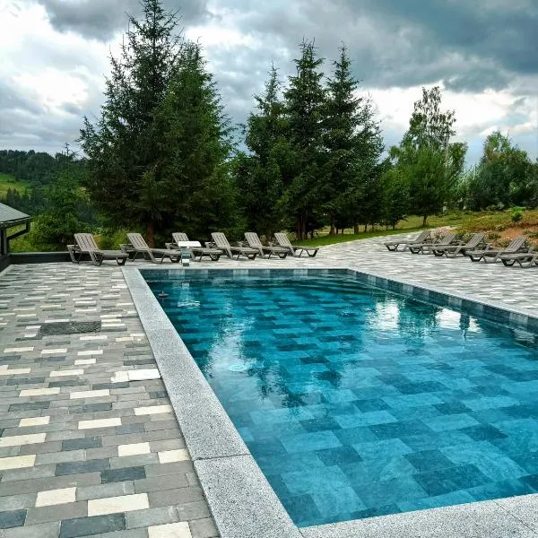 Мамо, я в Карпатах, hotel sa Volosyanka