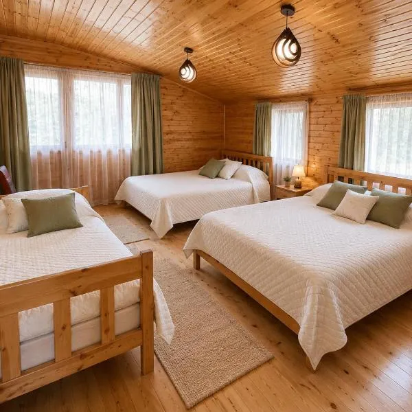 Ioane's Chalet, hotel u gradu Mestija