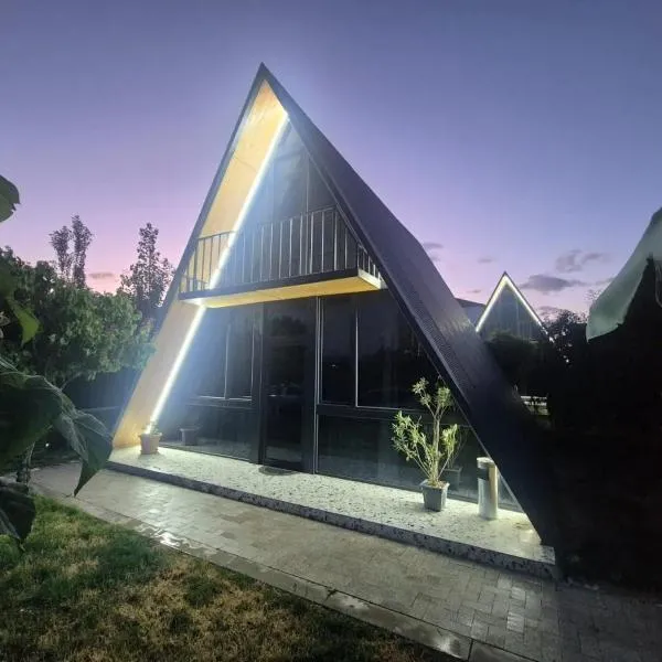 Eco Villa, A frame with barbecue zone and pool, מלון בירוואן